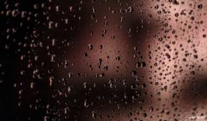 Hugues Willy KREBS - NEREIDES STUDIO