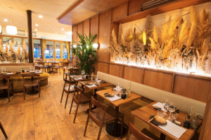 Iris SALEANDRO - LOEILDIRIS