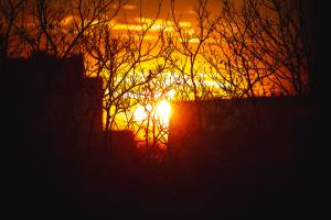 Davy AHOUA - STUDIO VISUALIZER