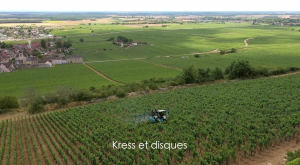 Yvan ARCHENAULT - Yvan ARCHENAULT Photographe