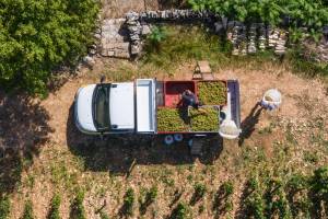 Yvan ARCHENAULT - Yvan ARCHENAULT Photographe