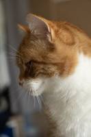 Nathan MORISSEAU - Morisseau